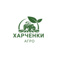 logo (4)