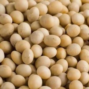 soya